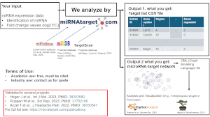 miRNAtarget workflow
